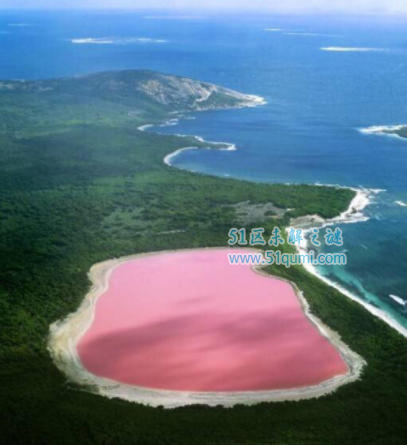 世界奇观天然粉红色的希勒湖,美的令人窒息