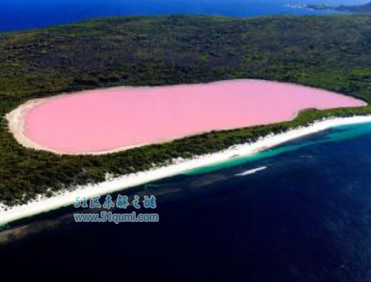 世界奇观天然粉红色的希勒湖,美的令人窒息